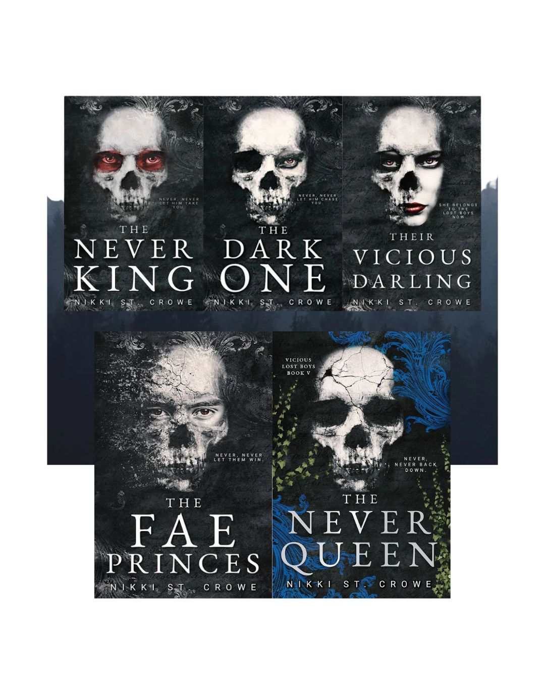 Vicious Lost Boys Complete 5-Book Series Set by Nikki St. Crowe (Paperback Collection)
