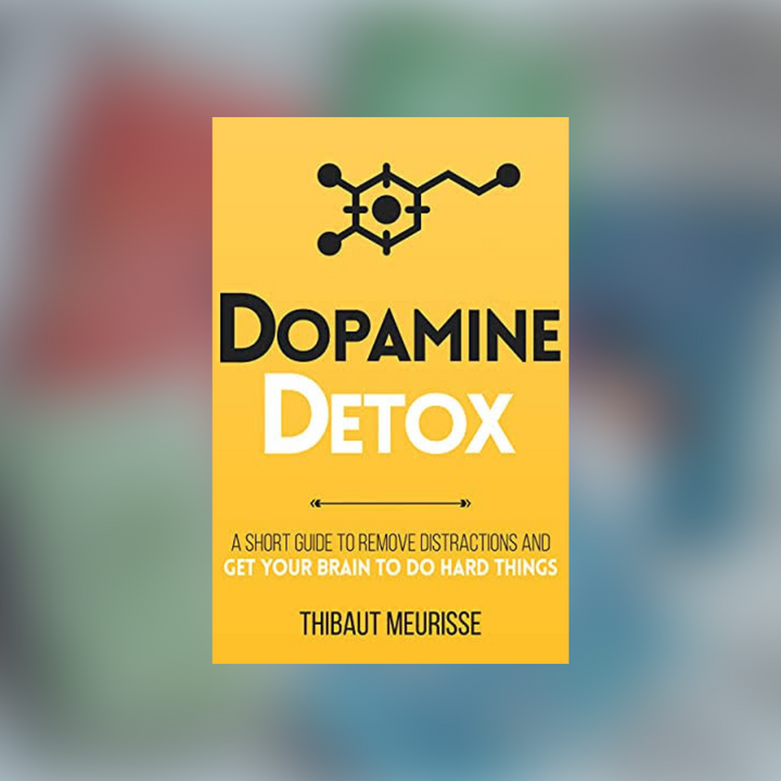 Dopamine Detox (English, Paperback)