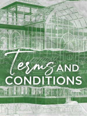 Term & Condition – Dreamland Billionaire Series #2 (English, Paperback)